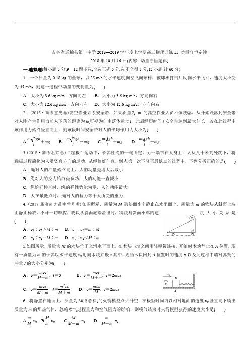 吉林省通榆县第一中学2019—2020学年度上学期高三物理训练(11)