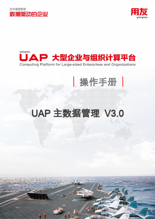 UAP 主数据管理V3.0 操作手册