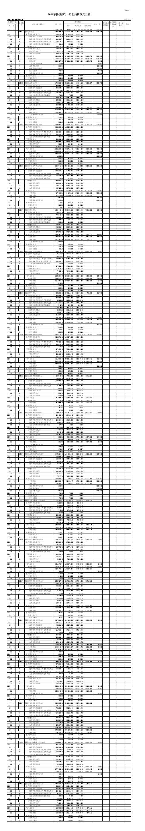 2019年县级部门一般公共预算支出表