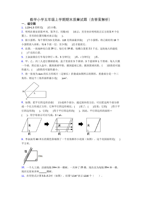 数学小学五年级上学期期末质量试题(含答案解析)