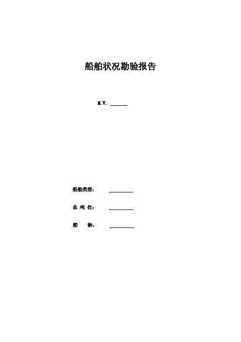 船舶勘验报告 表格 格式 