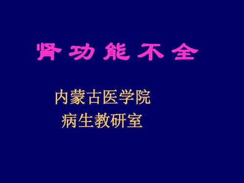 肾功能不全04级本科