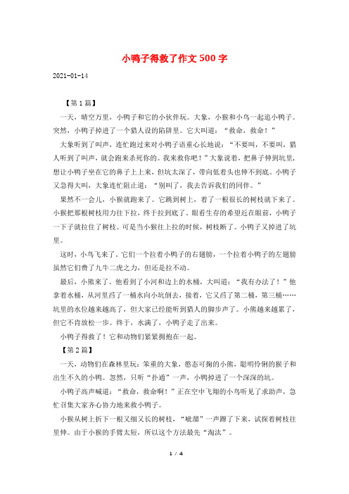 小鸭子得救了作文500字