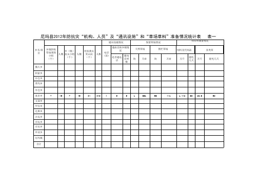 防抗灾准备情况空表