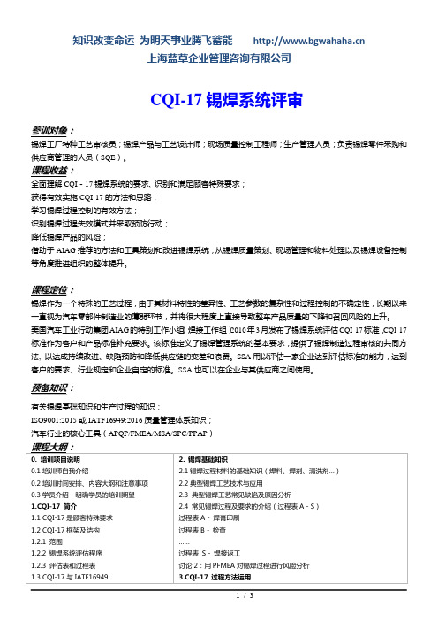 CQI-17 锡焊系统评估