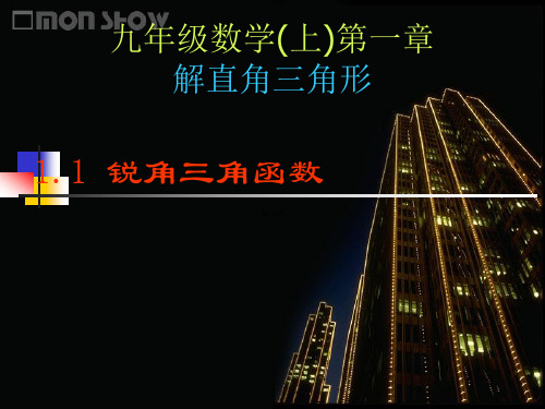 数学:1.1锐角三角函数课件(鲁教版九年级上)