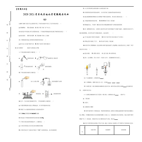 【寒假作业】2020-2021学年九年级化学寒假精品作业(1)