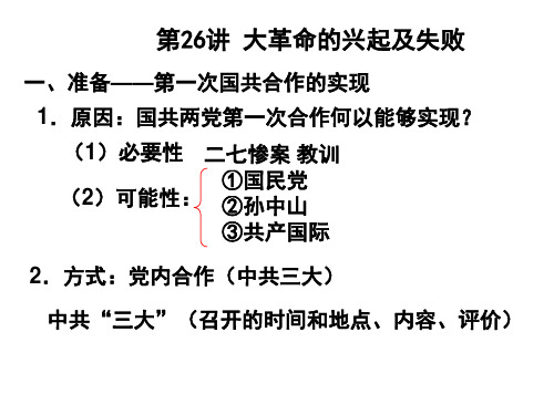 (201907)大革命的兴起和失败