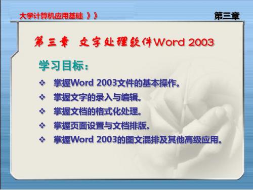 第三章MicrosoftWord文字处理软件