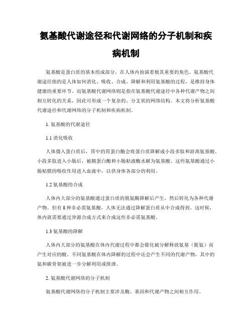 氨基酸代谢途径和代谢网络的分子机制和疾病机制