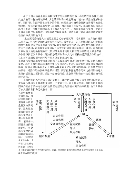 重金属污染物传播方式