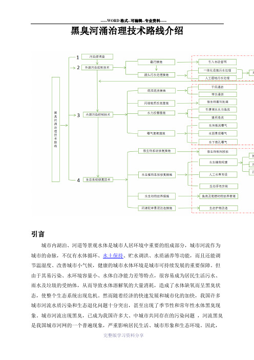 黑臭水体治理技术路线介绍-(定稿)