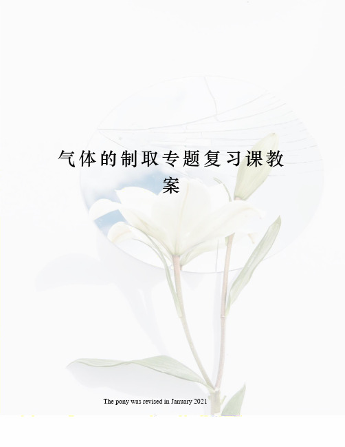 气体的制取专题复习课教案