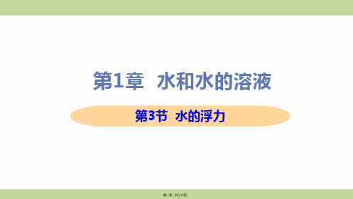 新浙教版八年级上册初中科学 第3节 水的浮力 教学课件