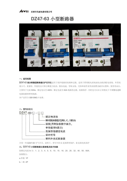 DZ47小型断路器DZ47-63