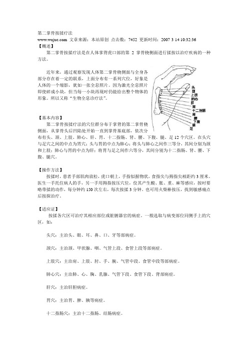 《掌骨按揉疗法》word版