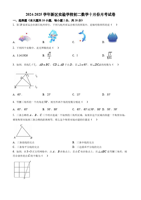 江苏省苏州高新区实验初级中学2024-2025学年上学期八年级数学十月份月考试卷(含详解)