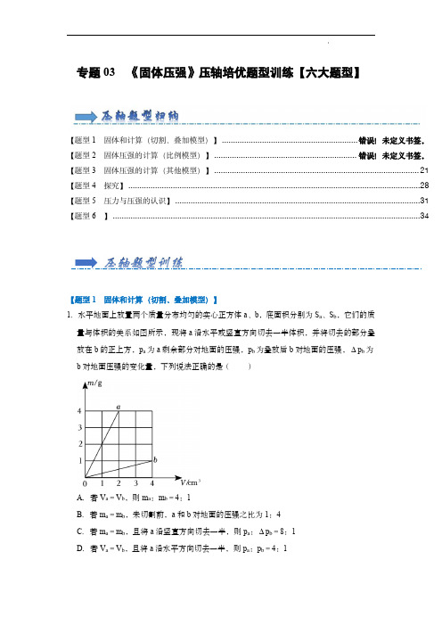 2024届中考物理专题训练(人教版)：专题03  固体压强(解析版)