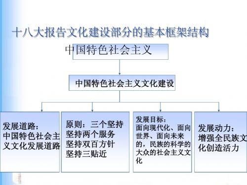 毛概2013建设中国特色社会主义文化