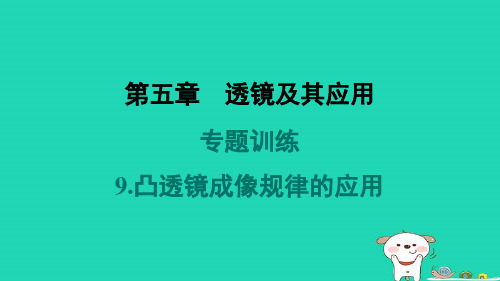 山西省2024八年级物理上册第五章透镜及其应用专题训练9.凸透镜成像规律的应用课件新版新人教版