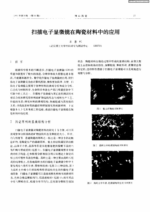 扫描电子显微镜在陶瓷材料中的应用---重要