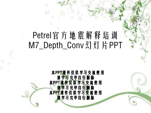 Petrel官方地震解释培训M7_Depth_Conv幻灯片PPT