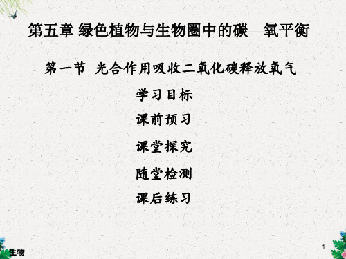 人教版七年级生物上册课件：第三单元第五章 绿色植物与生物圈中碳—氧平衡 第一节  光合作用吸收二氧化