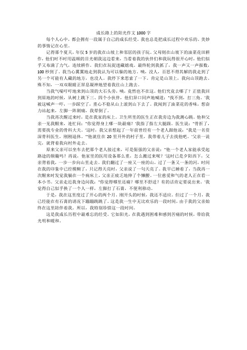 成长路上的阳光作文1000字