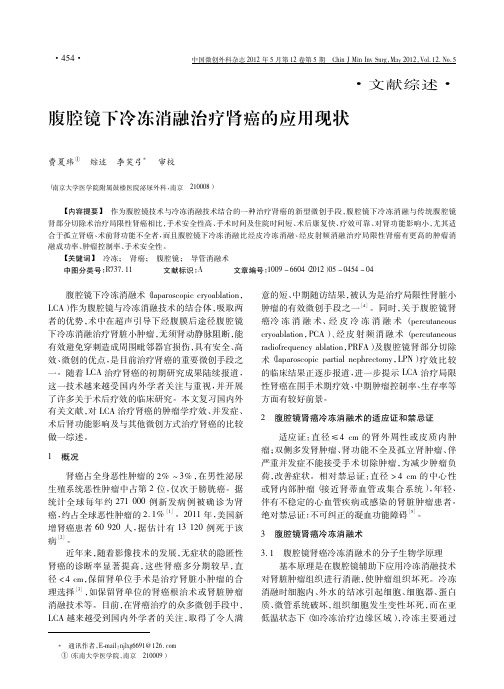 腹腔镜下冷冻消融治疗肾癌的应用现状