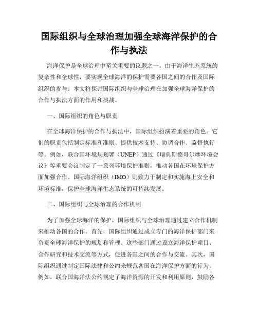 国际组织与全球治理加强全球海洋保护的合作与执法