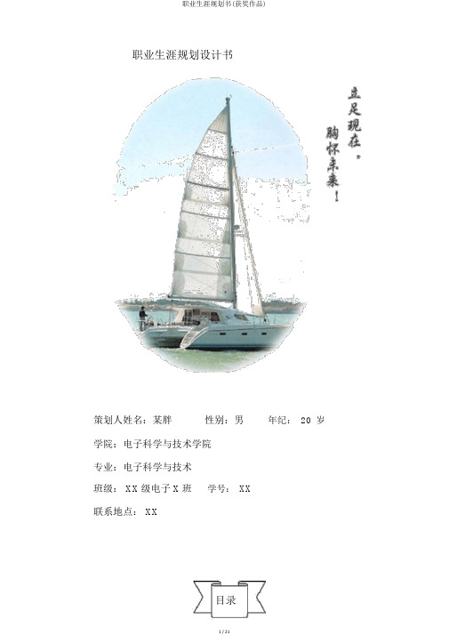 职业生涯规划书(获奖作品)