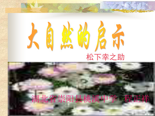 大自然的启示 PPT