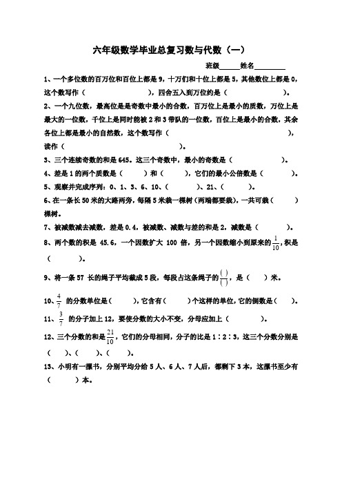 小学六年级数学总复习数与代数练习题