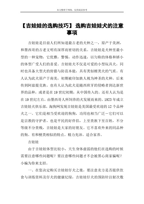 【吉娃娃的选购技巧】 选购吉娃娃犬的注意事项