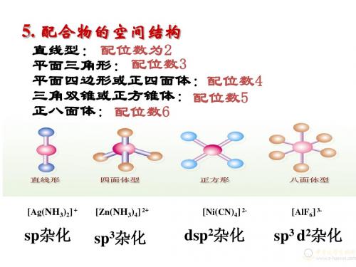 配合物的空间构性