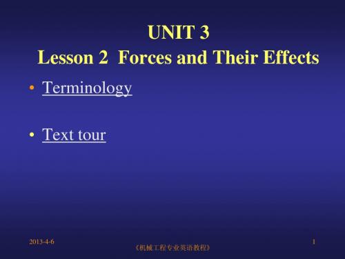 Lesson 2 force and their effects