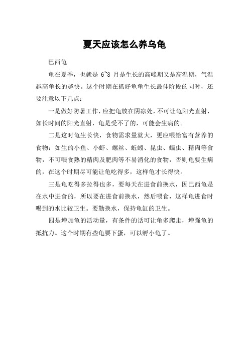 夏天应该怎么养乌龟