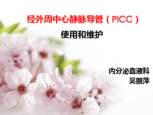 PICC的使用和维护