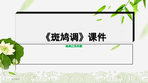 (赛课课件)六年级下册音乐《斑鸠调》(共8张PPT)