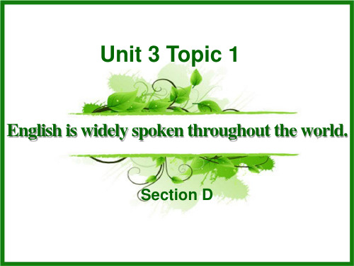 《English is widely spoken throughout the world》SectionD PPT