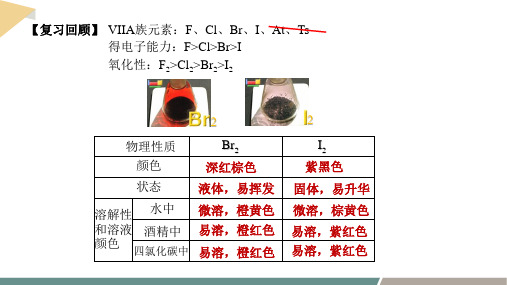 微项目 海带提碘与海水提溴  课件 高一化学鲁科版(2019)必修第二册