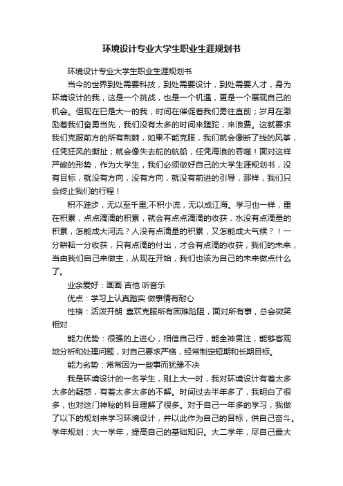 环境设计专业大学生职业生涯规划书