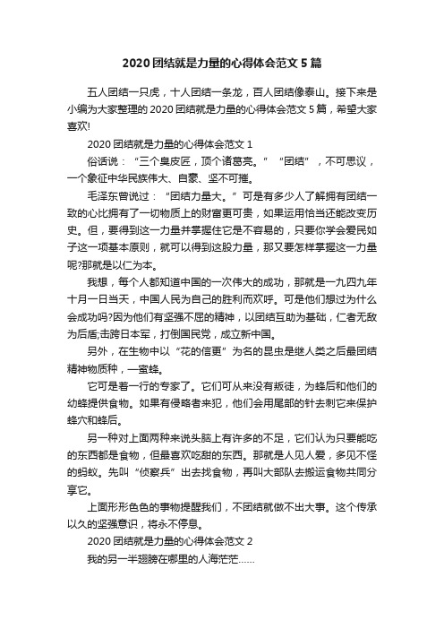 2020团结就是力量的心得体会范文5篇