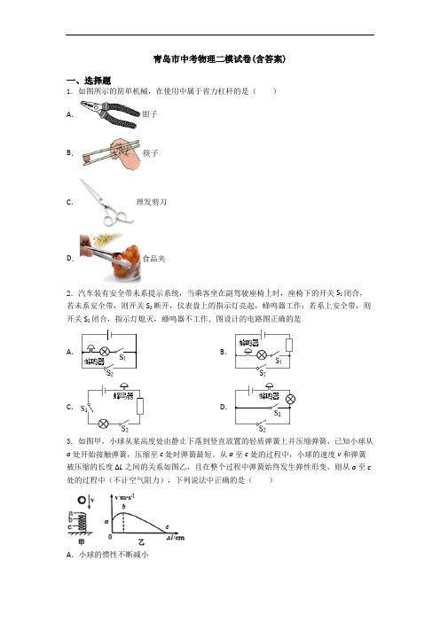 青岛市中考物理二模试卷(含答案)