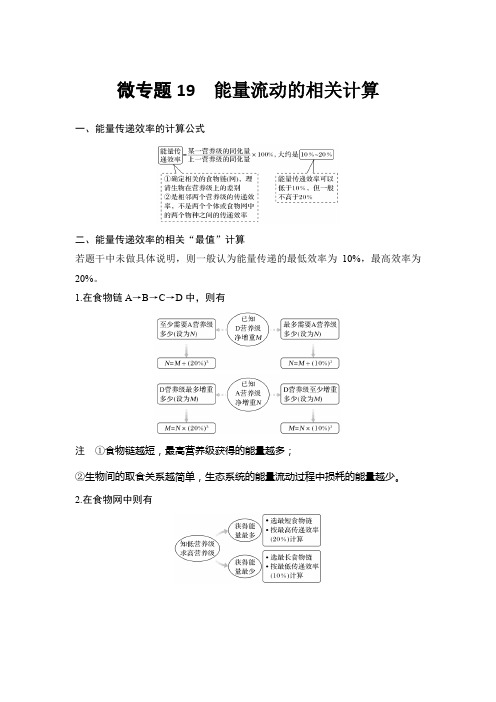 微专题19 能量流动的相关计算