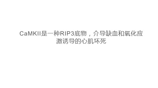 CaMKII是RIP3的一种底物,介导缺血和氧化应激诱导的心肌坏死