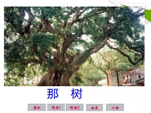 九年级语文下册《那树》课件3 人教新课标版
