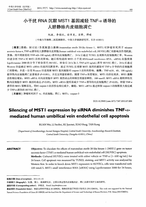 小干扰RNA沉默MSTl基因减轻TNF-α诱导的人脐静脉内皮细胞凋亡