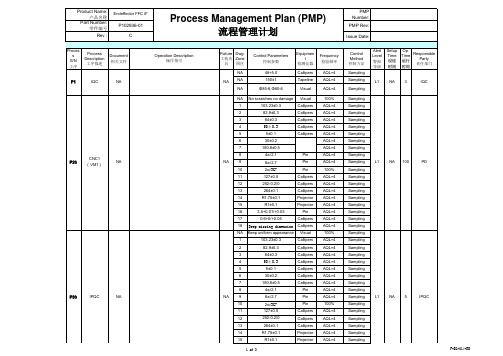 生产作业指导书-ENG-PMP