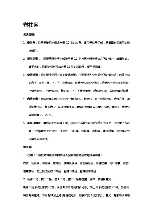 局部解剖思考题以及名词解释整理